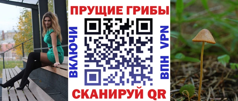 Галлюциногенные грибы MAGIC MUSHROOMS  Купить где  Владикавказ 