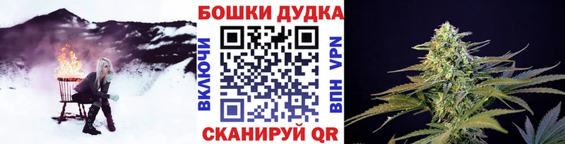 Купить  Владикавказ  Бошки Шишки марихуана 